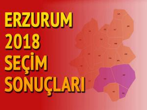 Erzurum 2018 seçim sonuçları açıklanıyor - İşte ilk veriler