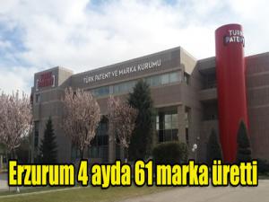 Erzurum 4 ayda 61 marka üretti