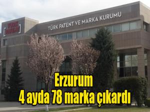 Erzurum 4 ayda 78 marka çıkardı