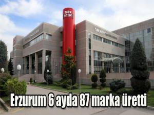 Erzurum 6 ayda 87 marka üretti