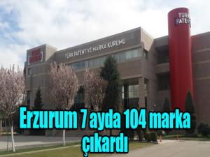 Erzurum 7 ayda 104 marka çıkardı