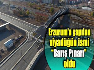 Erzurum'a yapılan viyadüğün ismi Barış Pınarı oldu