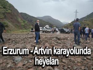 Erzurum - Artvin karayolunda heyelan