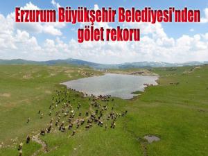 Erzurum Büyükşehir Belediyesi'nden gölet rekoru