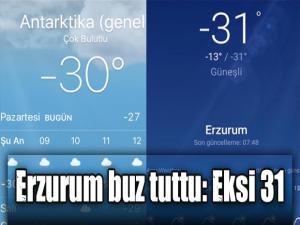 Erzurum buz tuttu: Eksi 31