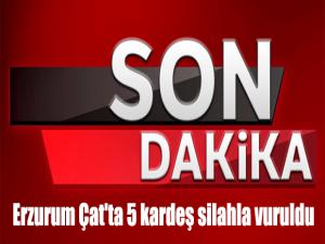 Erzurum Çat'ta 5 kardeş silahla vuruldu
