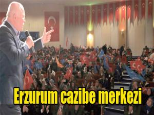 Erzurum cazibe merkezi