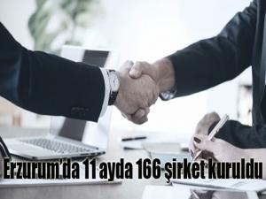 Erzurumda 11 ayda 166 şirket kuruldu