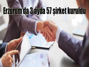 Erzurumda 3 ayda 57 şirket kuruldu