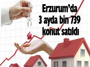 Erzurumda 3 ayda bin 739 konut satıldı