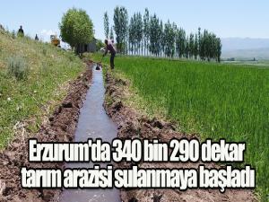 Erzurum'da 340 bin 290 dekar tarım arazisi sulanmaya başladı