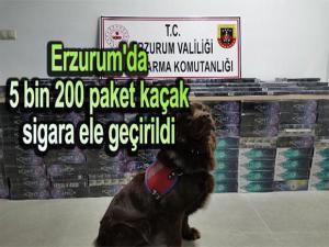 ERZURUMDA 5 BİN 200 PAKET KAÇAK SİGARA ELE GEÇİRİLDİ