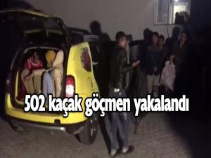 Erzurumda 502 kaçak göçmen yakalandı