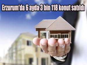 Erzurum'da 6 ayda 3 bin 118 konut satıldı