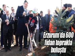 Erzurumda 600 fidan toprakla buluştu