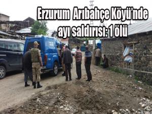 Erzurumda ayı saldırısı: 1 ölü