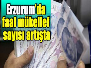 Erzurumda faal mükellef sayısı artışta