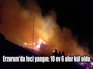 Erzurum'da feci yangın: 10 ev 6 ahır kül oldu