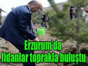  Erzurumda fidanlar toprakla buluştu