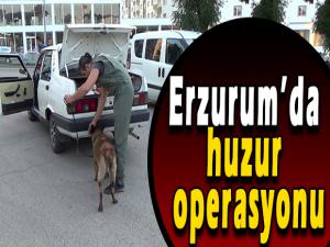 Erzurumda huzur operasyonu