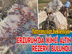 Erzurum'da ikinci Altın rezervi bulundu