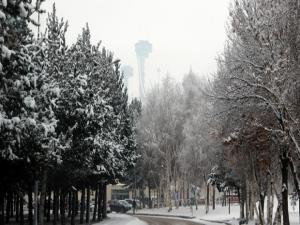 Erzurum'da kar kartpostallık görüntüler oluşturdu