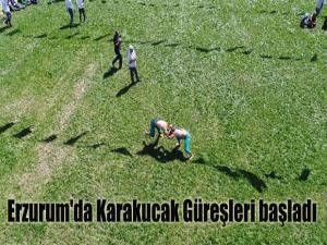 Erzurum'da Karakucak Güreşleri başladı