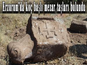 Erzurumda koç başlı mezar taşları bulundu