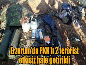 Erzurumda PKKlı 2 terörist etkisiz hale getirildi