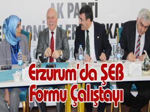 Erzurumda ŞEB Formu Çalıştayı