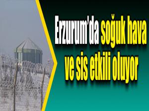 Erzurumda soğuk hava ve sis etkili oluyor