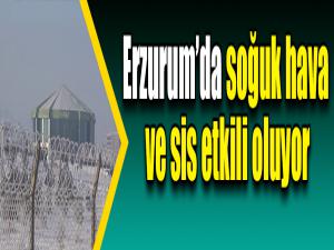 Erzurumda soğuk hava ve sis etkili oluyor