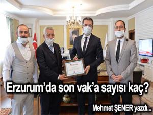 Erzurumda son vak'a sayısı kaç?