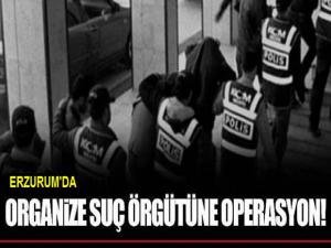 Erzurum'da Suç Örgütüne Operasyon: 10 Gözaltı 