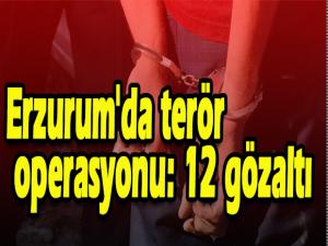 Erzurum'da terör operasyonu: 12 gözaltı