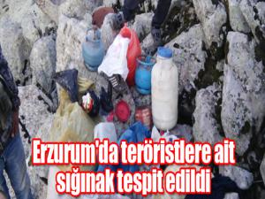 Erzurum'da teröristlere ait sığınak tespit edildi