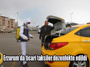 Erzurumda ticari taksiler dezenfekte edildi