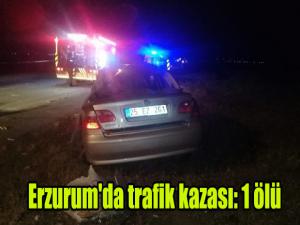 Erzurum'da trafik kazası: 1 ölü