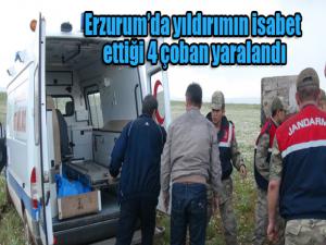 Erzurumda yıldırımın isabet ettiği 4 çoban yaralandı