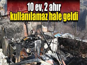 Erzurum'daki köy yangınında 10 ev, 2 ahır kullanılamaz hale geldi