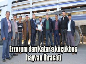 Erzurumdan Katara küçükbaş hayvan ihracatı