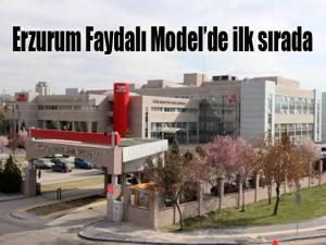 Erzurum Faydalı Modelde ilk sırada