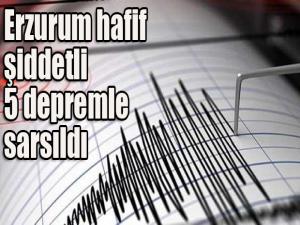 Erzurum hafif şiddetli 5 depremle sarsıldı