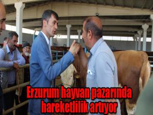 Erzurum hayvan pazarında hareketlilik artıyor