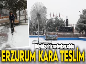 Erzurum kara teslim oldu