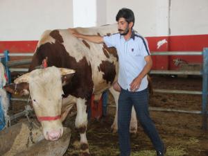 Erzurum kurban pazarının gözdesi Paşa