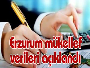 Erzurum mükellef verileri açıklandı