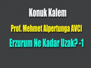 Erzurum Ne Kadar Uzak? -1-Prof. Mehmet Alpertunga AVCİ