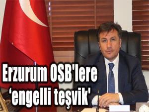 Erzurum OSB'lere engelli teşvik'