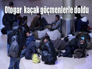 Erzurum otogarı kaçak göçmenlerle dolup taştı
